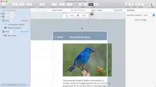 Keep a fixed header during a transition