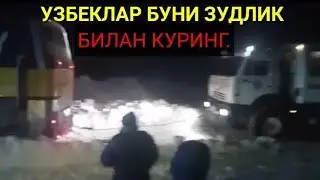 Улим ёкасида турган 38 узбек куткарилди
