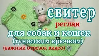 Свитер тунисским крючком для собак и кошек (кусочек реглана)