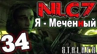 Прохождение Сталкер NLC 7: Я - Меченый #34. Штрек Призрака и повторный визит Х-18 и Х-16