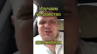Колодки или колготки ???😂что меняем ???