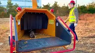 D16 demo