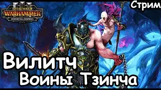 Вилитч. Воины Тзинча. (Легенда.) ч.1 Total War: Warhammer 3.