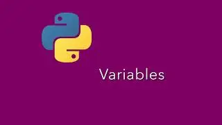 Python Basics: Variables And Print Basic