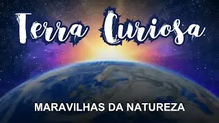 Terra Curiosa