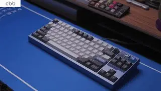Tech Bear TB8-TKL Build Stream