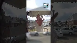 Cool Neighbor (Caught on Ring Doorbell)