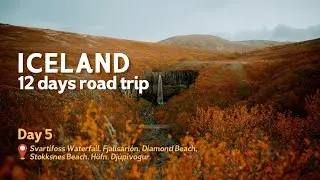 ICELAND 12 Days Road Trip | Day 5
