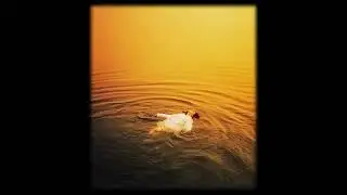 [FREE] Josman Type Beat - 