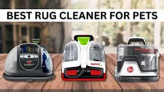 Top 5 Best Rug Cleaner For Pets In 2024