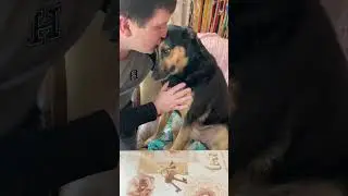 Люся и её Любимка❤️