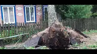Виноградник Ураган Град  Дорога 14 07 2024 РБ