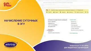 Начисление суточных в программе 1С:ЗГУ