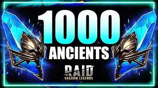 We pulled EXACTLY 1000 ancient shards for the 2x ... ⁂ Raid: Shadow Legends