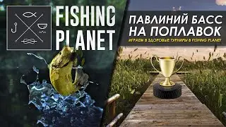 FISHING PLANET - Стрим. Играем в турнир НЕ РЫБА НЕ ПТИЦА павлиний басс на поплавок