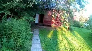Летние Дожди