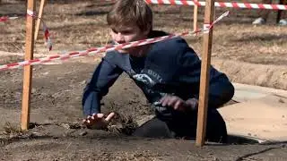 Весенний дозор