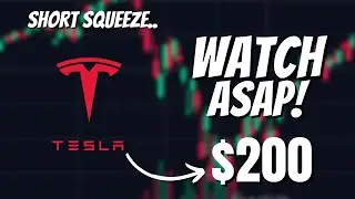 Short's lost -$600,000,000 in Tesla Stock Today... (Short Squeeze Coming)