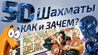 5Д Шахматы с путешествием во времени и мультивселенной. Как в это играть?