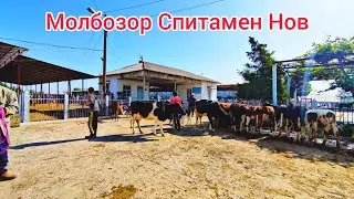 Молбозор Спитамен Нов.21.05.2023.