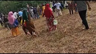 firal artis ibubkota belusuan desa.oku.sumsel