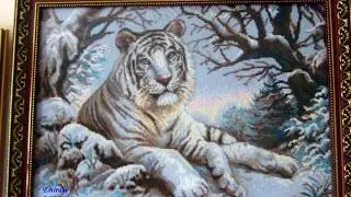 Бенгальский тигр 1184 Риолис