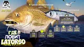 Русская рыбалка 4. 🎣🦈 Норвежское море 🐋🐟💦 ГДЕ ЛОВИТ LATORSO 👀