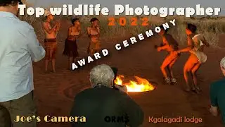 Top wildlife photographer 2022 Kgalagadi photography