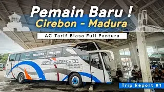 BUS EKONOMI DENGAN RUTE TERJAUH DAN TERMEWAH !! Trip AKAS MILA SEJAHTERA Cirebon - Surabaya