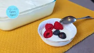 More than 1 kg of yogurt from a small jar + whey for bread. Making yogurt at home is easy!