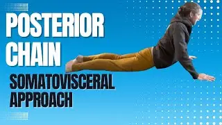 Build a Strong Posterior Chain: Pro Athletes' Secret Weapon