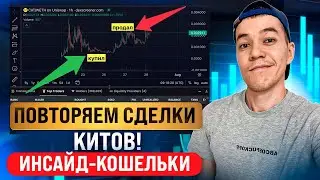 Как ЗАРАБОТАТЬ на инсайде? | следим за кошельками КИТОВ !