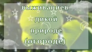 🌿ВЫЖИВАНИЕ В ДИКОЙ ПРИРОДЕ (ОГОРОДЕ)🌿