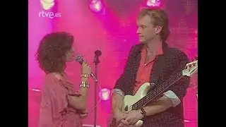 Mr. Mister 