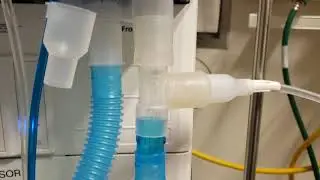 Exhaled gas scavenger system for ventilators (contingency for national viral filter shortage)
