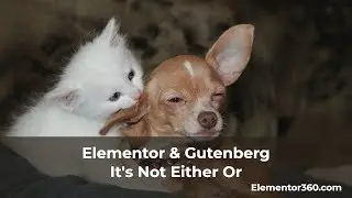 Elementor and Gutenberg - Its Not Either Or