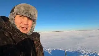 Охота на крупного налима! Fishing for big fish! 4k! 03 2 2024