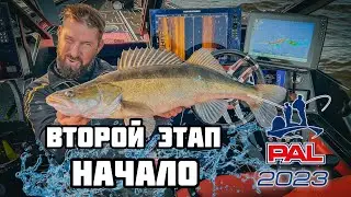 PAL 2023. Второй этап. Начало.
