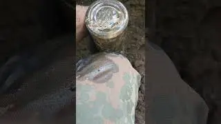 ДА ЭТО ФАРТ. С ШУРФА #короткое #короткоевидео #short #shorts