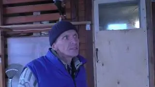 В гостях у Сергея. Голуби Питера.