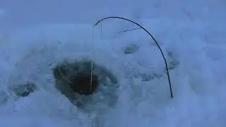 Рыбалка на хапуги и косынки!