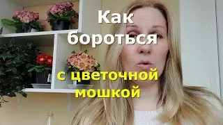 Как бороться с цветочной мошкой(грибным комариком)