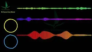 Unknown Brain x Rival - Control 
