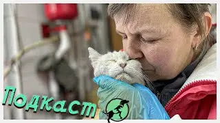 Едем и общаемся 2023-10-24