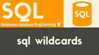WIldcards | SQL | Tutorial 15