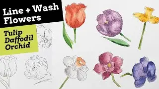 Easy Line and Wash Flowers Pt 2
