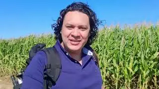 granja li