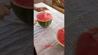 Арбуз фрукты