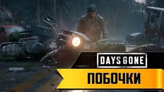 Прохождение игры Days Gone ► Побочки ► 3