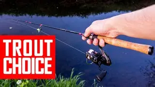Budget fishing rod for Trout from AliExpress tested: Tsurinoya Clever